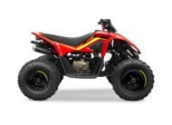 CFMOTO CFORCE 110